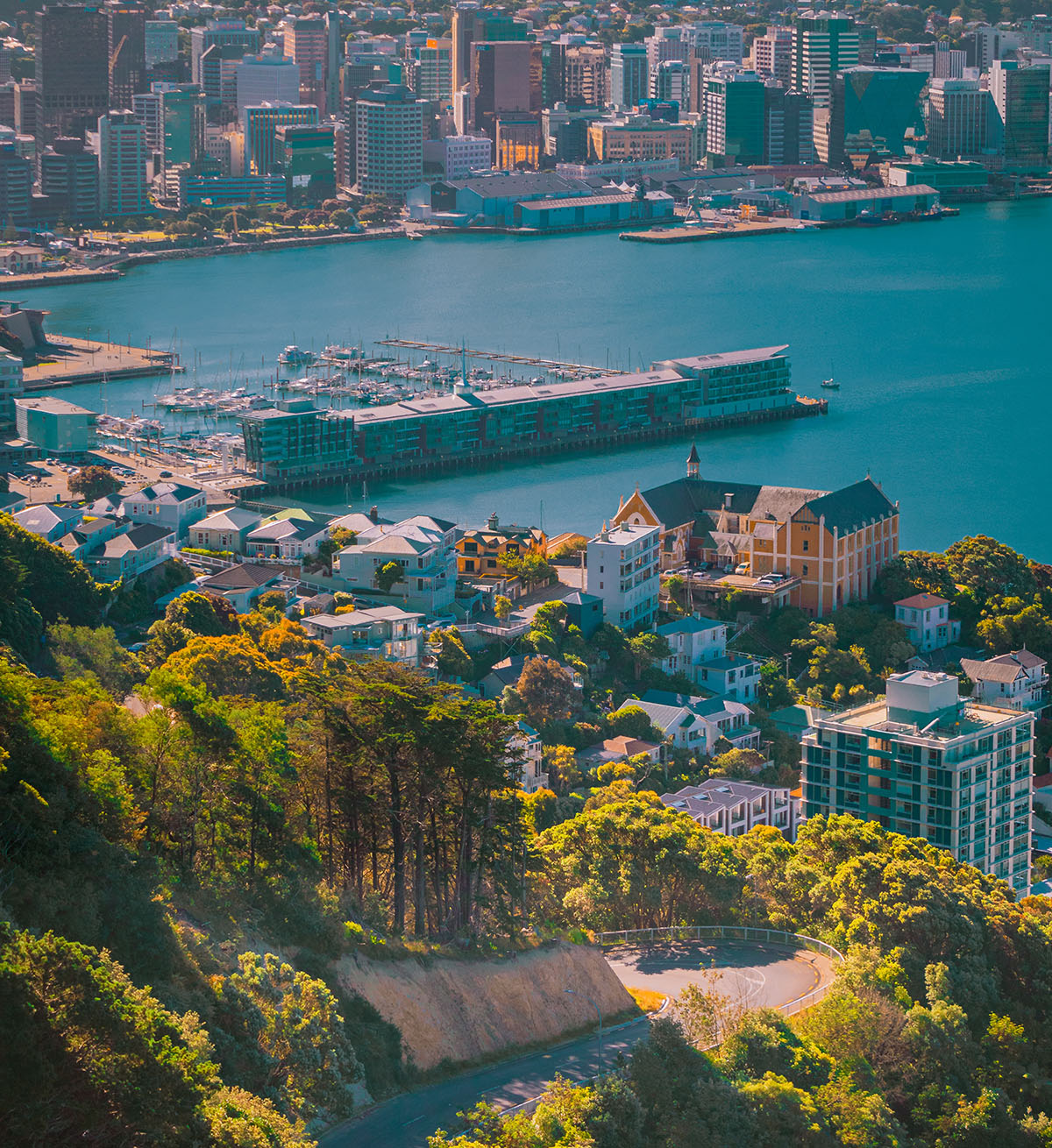 Supporting New Zealand employers find overseas workers