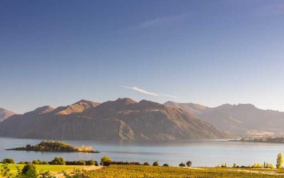 Fast growing Arboriculture industry success story