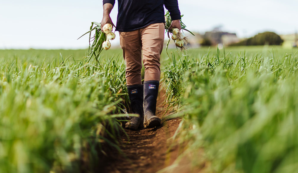 New Visa Pathways Announced