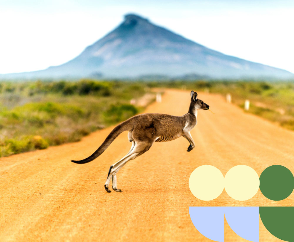 Working In New Zealand Webinar