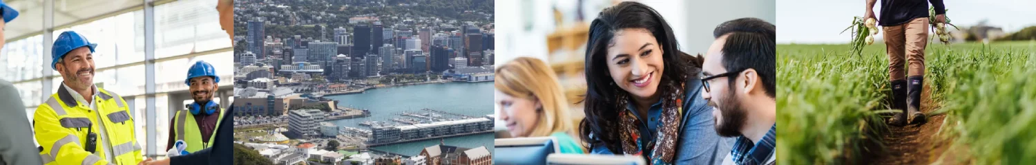 NZ business categories collection